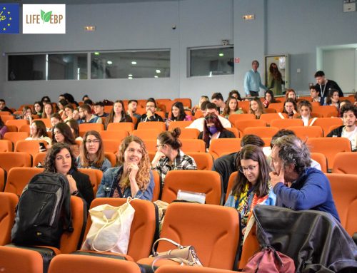 The training school initiates the conclusion of the project